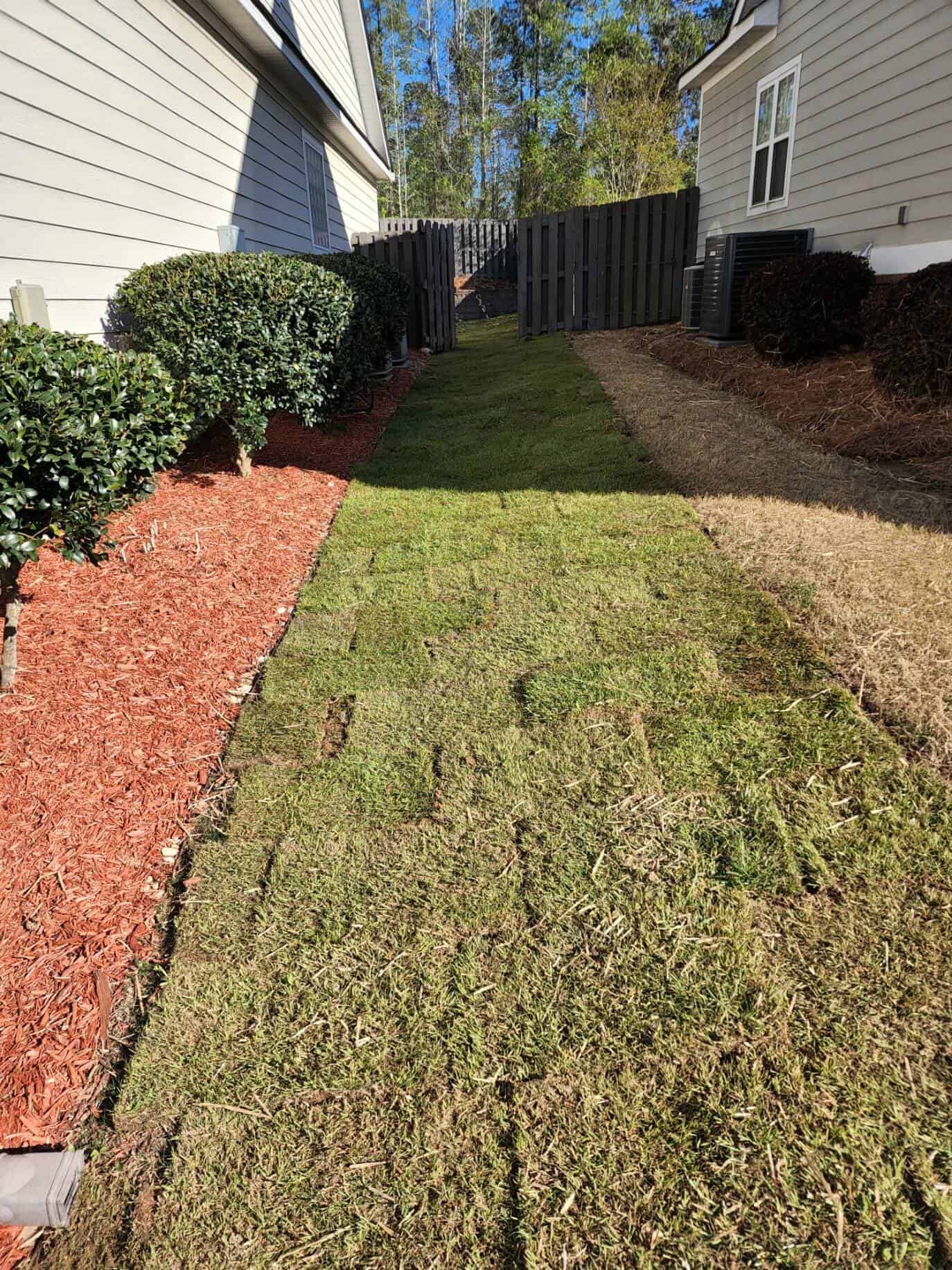 sod installation between two houses Augusta GA